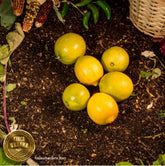 Limón eureka amarillo orgánico (1 Pza)